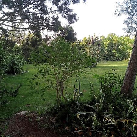 Li Papi Villa Galatone Exteriör bild