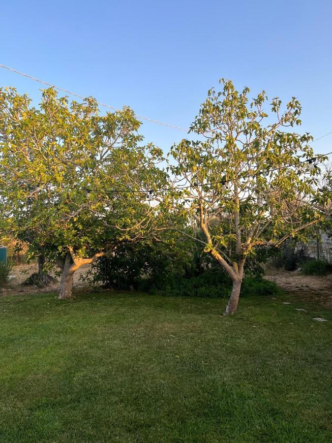 Li Papi Villa Galatone Exteriör bild