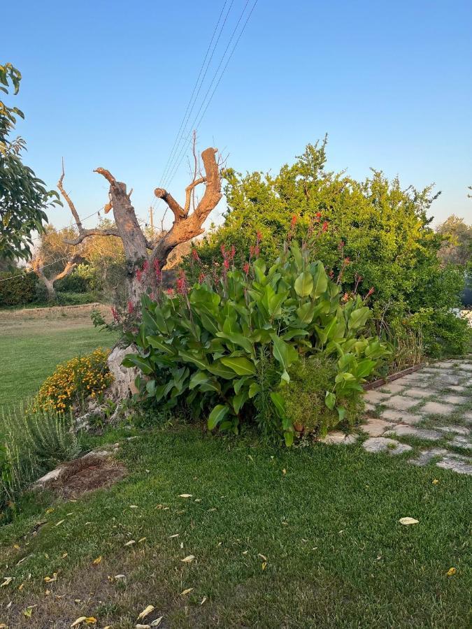 Li Papi Villa Galatone Exteriör bild